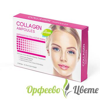 НАТУРАЛНА КОЗМЕТИКА  Грижа за лицето Др. ГРИЙН КОЛАГЕН За лице ампули 10мл х 6